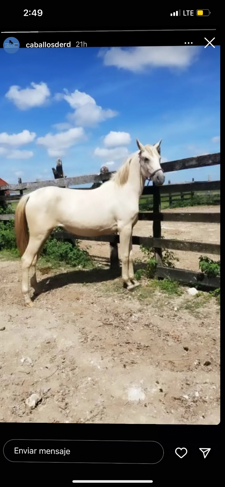 Paloma