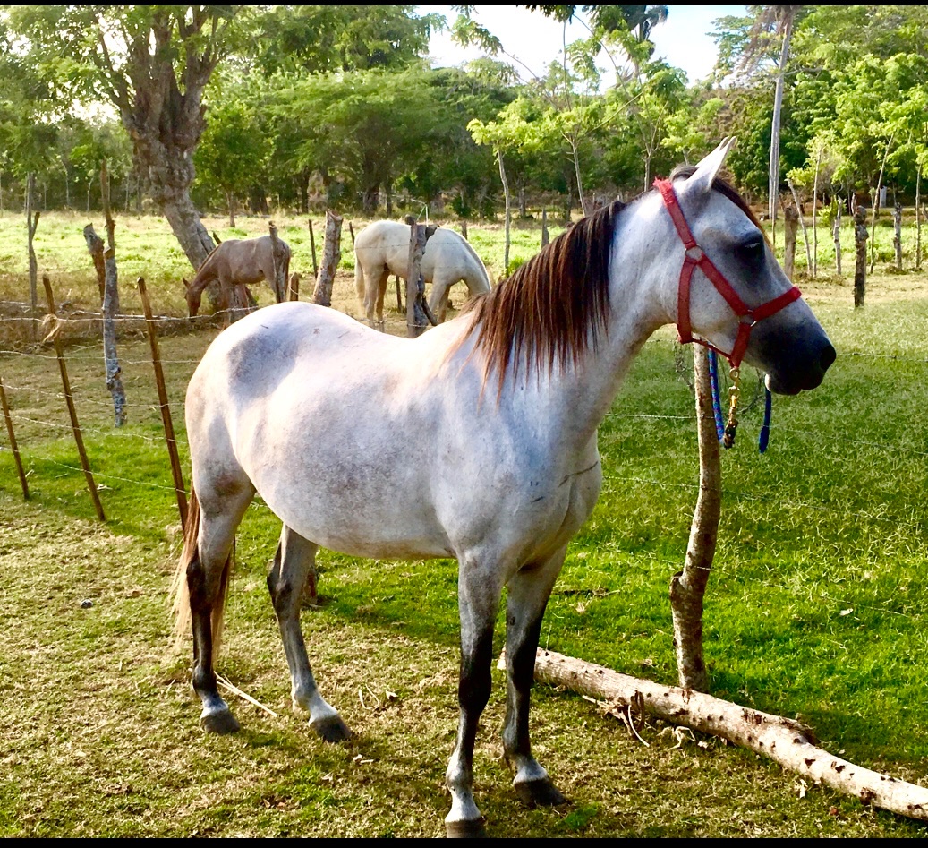 La Maravilla de Quinta Lantigua