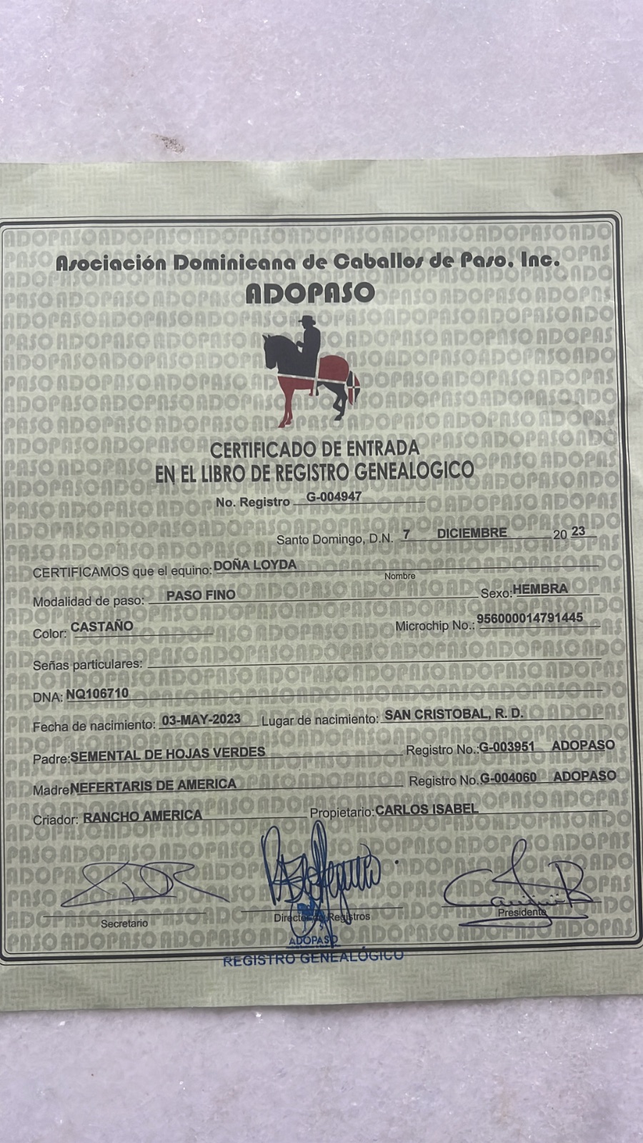 Doña loyda 