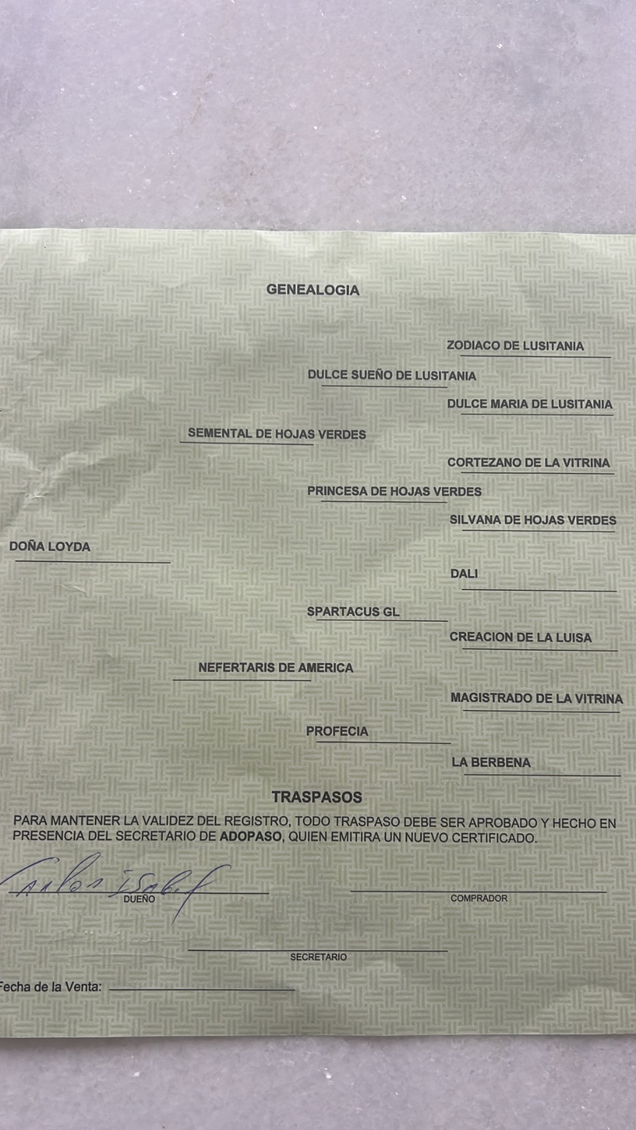 Doña loyda 