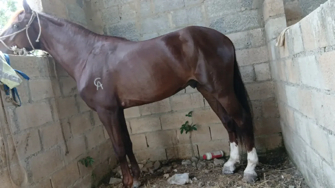 Huracán de la aurora 