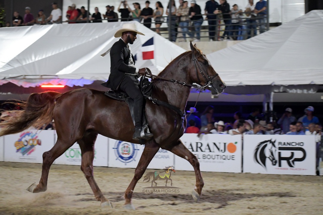 Miguel Contreras de Aras