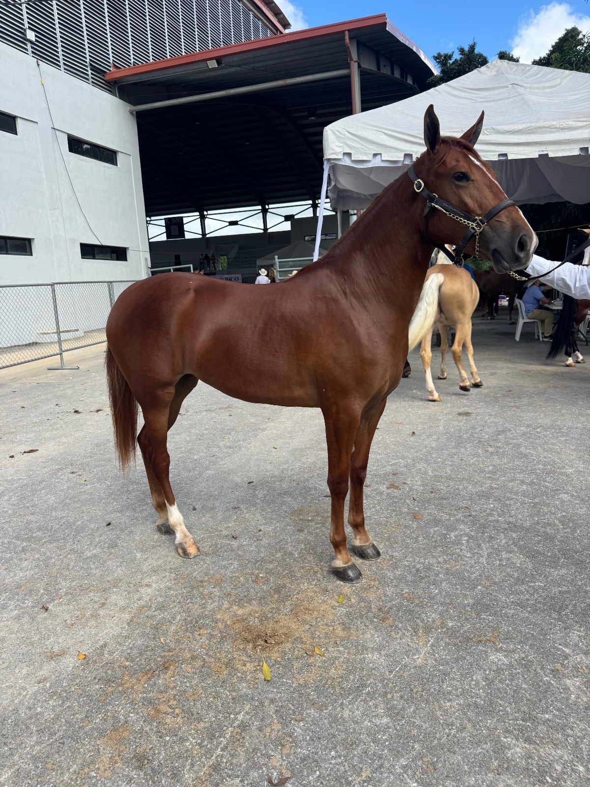 Foto de La Chiqui