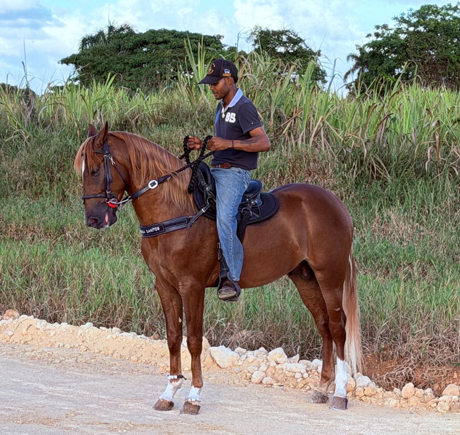 Tequila d’VC