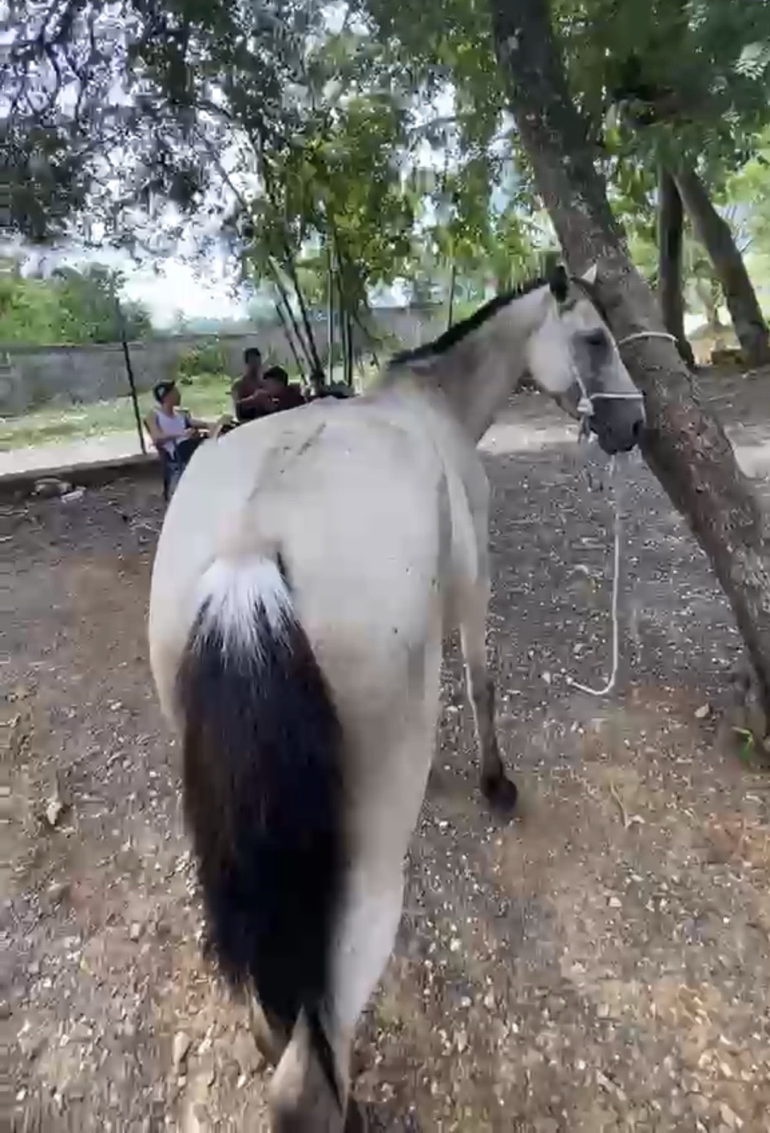 Sinaloa🤎