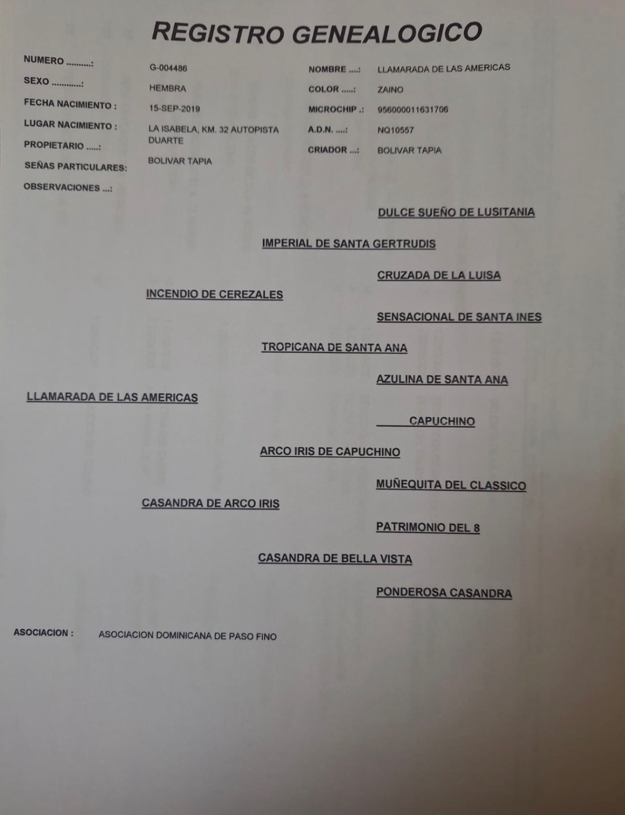 Llamarada de las Americas 