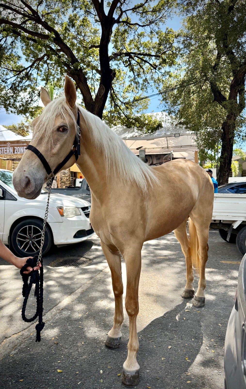 Foto de La Gloria