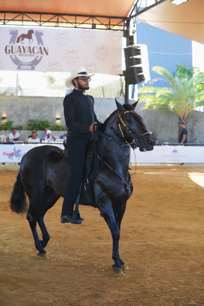 Juan Sebastian Morales Noesi