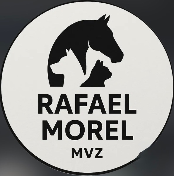 Rafael Morel